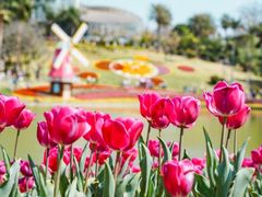 -广州市白云山风景名胜区