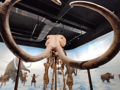 -辽宁古生物博物馆