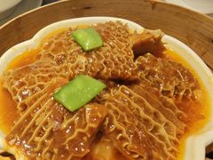 -点都德·毕德寮