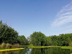 -桤木河湿地公园