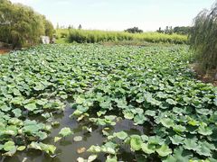 -重元寺香积厨素斋馆