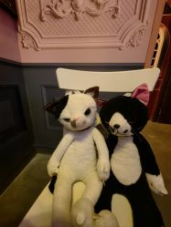 -疯狂冒险家-亲子密室-东坝店(金隅嘉品店)