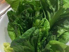 -木王宴语·野生鲜菌火锅(玉河店)