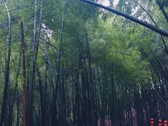 -黄山翡翠谷景区