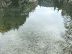 -韶山毛泽东同志故居