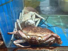 -阳光码头海鲜火锅(世纪大道店)