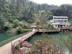 -南山植物园