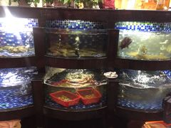 -渝君重庆火锅(嘉宾路店)