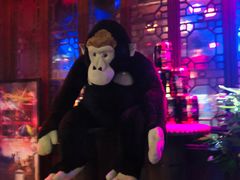 -周庄红庭演艺酒吧