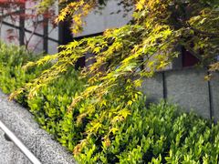 -豆豆花艺(新光天地店)