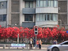 -有红鸡毛店·川菜(建设路店)