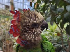 -南宫五洲植物乐园