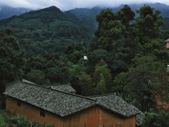 -杨家堂村