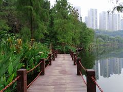 -重庆彩云湖湿地公园