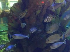 -碧桂园凤凰城酒店(南京店)