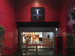 门面-DFS旗下T广场(新加坡店)