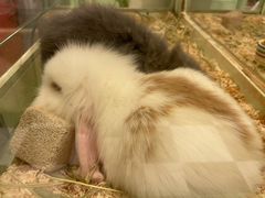 -龙猫仔乐园(惠福东路店)