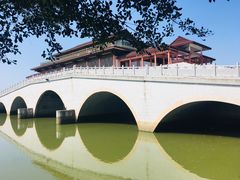 -大湾区中央湿地公园
