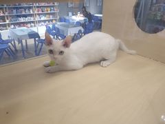 -利群商厦(台东店)