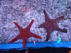 -横店影视城梦幻谷园区