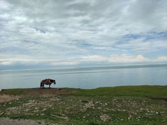 -青海湖国家重点风景名胜区