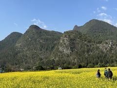 -万峰林风景区