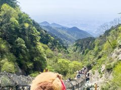 -泰山风景名胜区