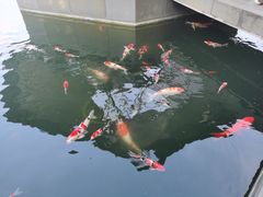 -伟记奥面馆(白塔东路店)