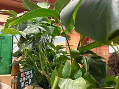 -云海肴汽锅鸡·云南小炒(曲江大悦城店)