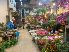 -双季花艺园艺市场(浦东店)