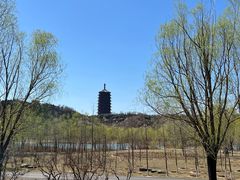 -永定河休闲森林公园