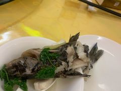 -鑫福楼农家菜