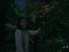 -北京周口店北京人遗址博物馆