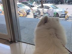 -艾贝尔宠物医院 ·中兽医·宠保定点(北门桥店)