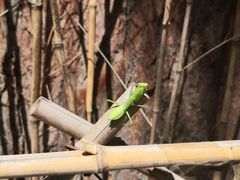 -潭柘厚院(桑峪村店)