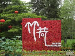 -紫竹院公园冰场