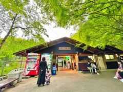 -岚山嵯峨野观光小火车
