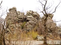 -牛背梁国家森林公园