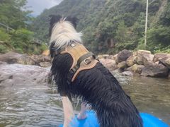 -安吉龙王山峡谷漂流