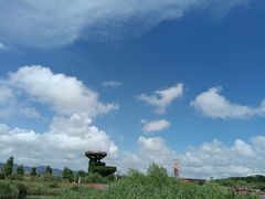 -芒洲湿地公园