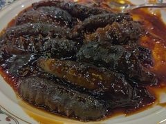 -鲁宴·鲁煨黄河生态大鲤鱼(月坛店)