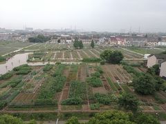 -上海第二工业大学(金海路校区)