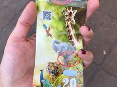 -昆明动物园