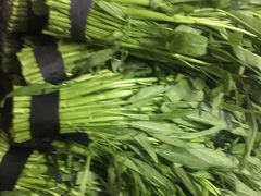 -海吉星国际农产品物流管理有限公司