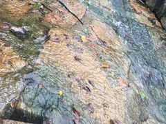 -白马涧龙池景区