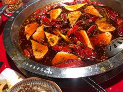 -谭鸭血老火锅(图书馆店)