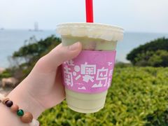 -南澳岛打卡果汁冰公司