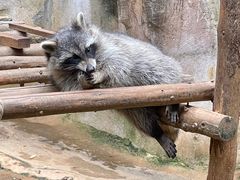 -杭州野生动物世界
