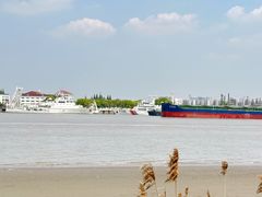 -上海共青森林公园