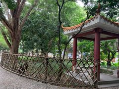 -小洲村
